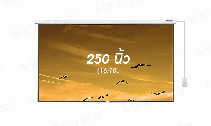 250 1610
