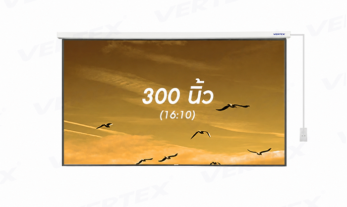 300 1610